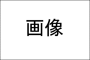 画像説明
